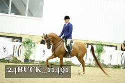 24BUCK_11491 thumbnail