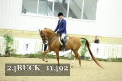 24BUCK_11492 thumbnail