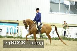 24BUCK_11493 thumbnail