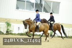 24BUCK_11494 thumbnail