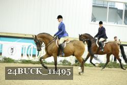 24BUCK_11495 thumbnail