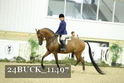24BUCK_11497 thumbnail