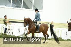 24BUCK_11500 thumbnail