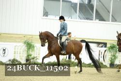 24BUCK_11502 thumbnail