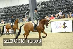 24BUCK_11506 thumbnail