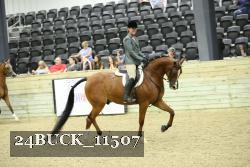 24BUCK_11507 thumbnail