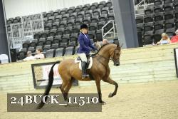 24BUCK_11510 thumbnail