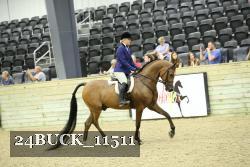 24BUCK_11511 thumbnail
