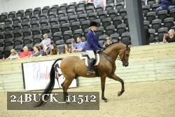 24BUCK_11512 thumbnail