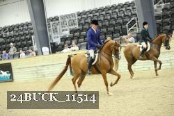 24BUCK_11514 thumbnail