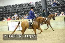 24BUCK_11515 thumbnail