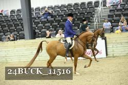 24BUCK_11516 thumbnail