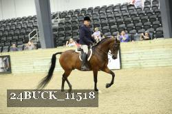 24BUCK_11518 thumbnail