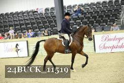 24BUCK_11519 thumbnail
