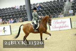 24BUCK_11520 thumbnail