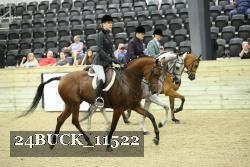 24BUCK_11522 thumbnail