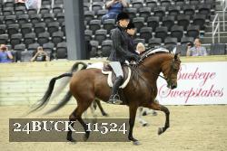 24BUCK_11524 thumbnail