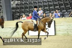 24BUCK_11526 thumbnail