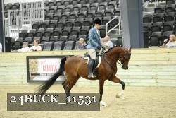 24BUCK_11531 thumbnail