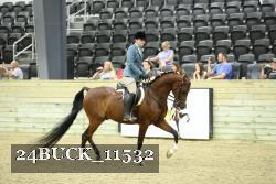 24BUCK_11532 thumbnail