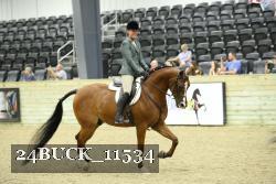 24BUCK_11534 thumbnail