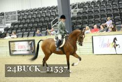 24BUCK_11537 thumbnail