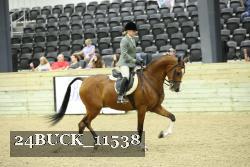24BUCK_11538 thumbnail