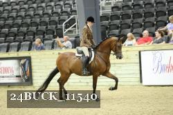 24BUCK_11540 thumbnail