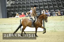 24BUCK_11541 thumbnail