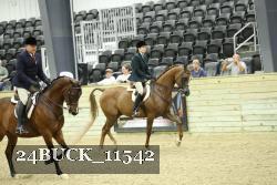 24BUCK_11542 thumbnail