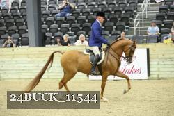 24BUCK_11544 thumbnail