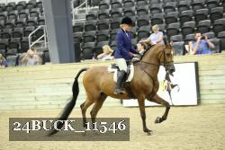 24BUCK_11546 thumbnail