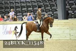 24BUCK_11548 thumbnail
