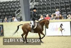 24BUCK_11549 thumbnail