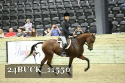 24BUCK_11550 thumbnail