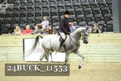 24BUCK_11553 thumbnail