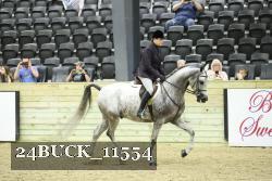 24BUCK_11554 thumbnail