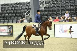 24BUCK_11555 thumbnail