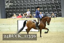 24BUCK_11556 thumbnail