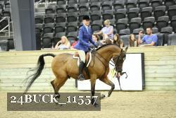 24BUCK_11557 thumbnail