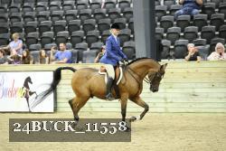 24BUCK_11558 thumbnail