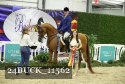 24BUCK_11562 thumbnail