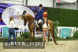 24BUCK_11563 thumbnail