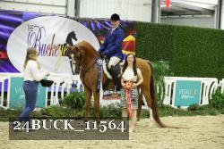 24BUCK_11564 thumbnail