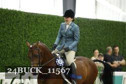 24BUCK_11567 thumbnail