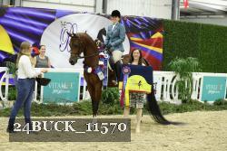 24BUCK_11570 thumbnail