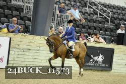 24BUCK_11573 thumbnail