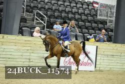 24BUCK_11574 thumbnail