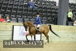 24BUCK_11575 thumbnail