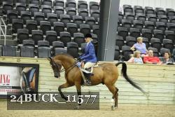 24BUCK_11577 thumbnail